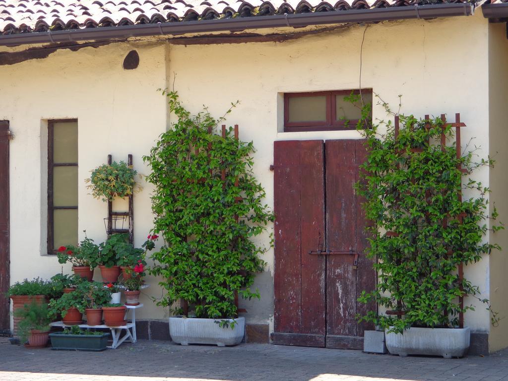 Il Sole Del Borgo Bed and Breakfast Binasco Exterior foto